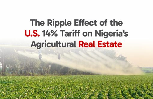 Nigeria's agricultural real estate